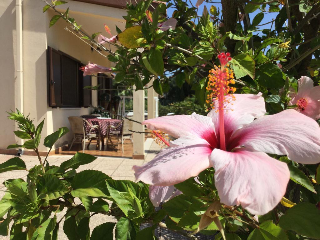 Villa Ro Porto Columbu - Perd'E Sali Exterior foto